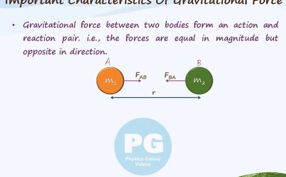 Important Characteristics of