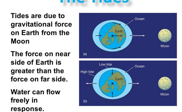 Tides are due to gravitational