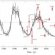 Earth gravitational constant