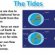 Gravitational force on Earth