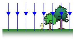 Gravitational field lines close to the Earth