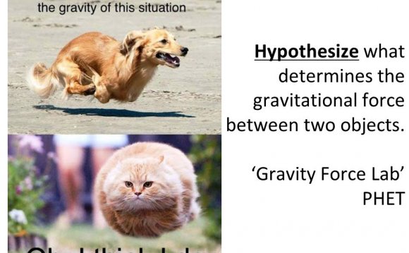 What determines the gravitational force between objects?