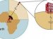 Universal law of gravitational
