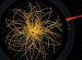 What is a Higgs boson?
