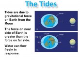 Gravitational force on Earth