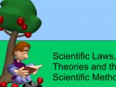 Scientific theories vs laws