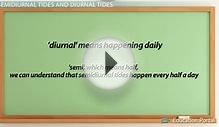 What Are Tides? - Causes & Effects